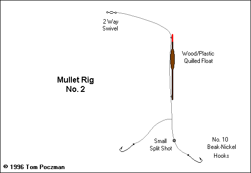  Mullet [Gone Fishing - Fish File]